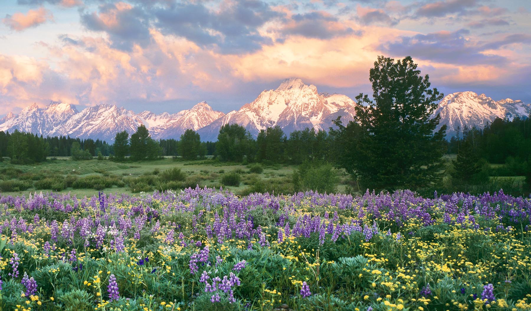 art gallery jackson hole