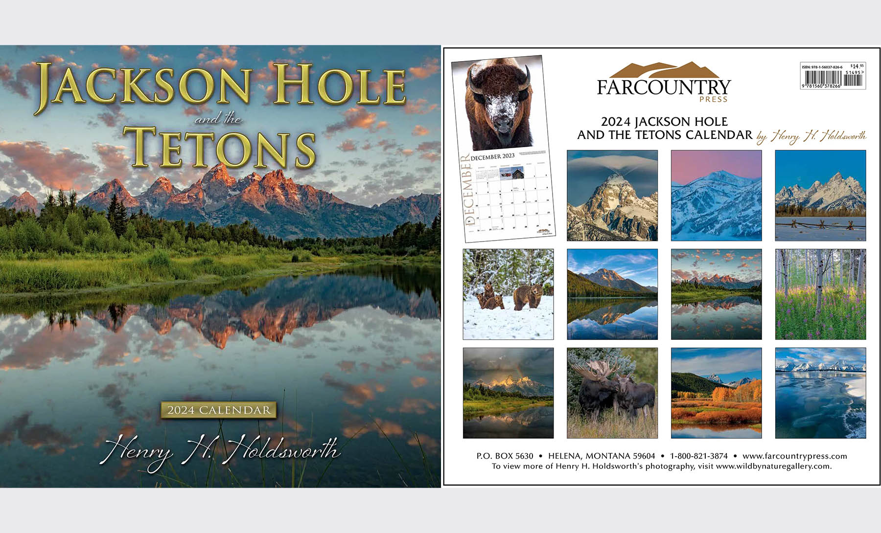 art gallery jackson hole