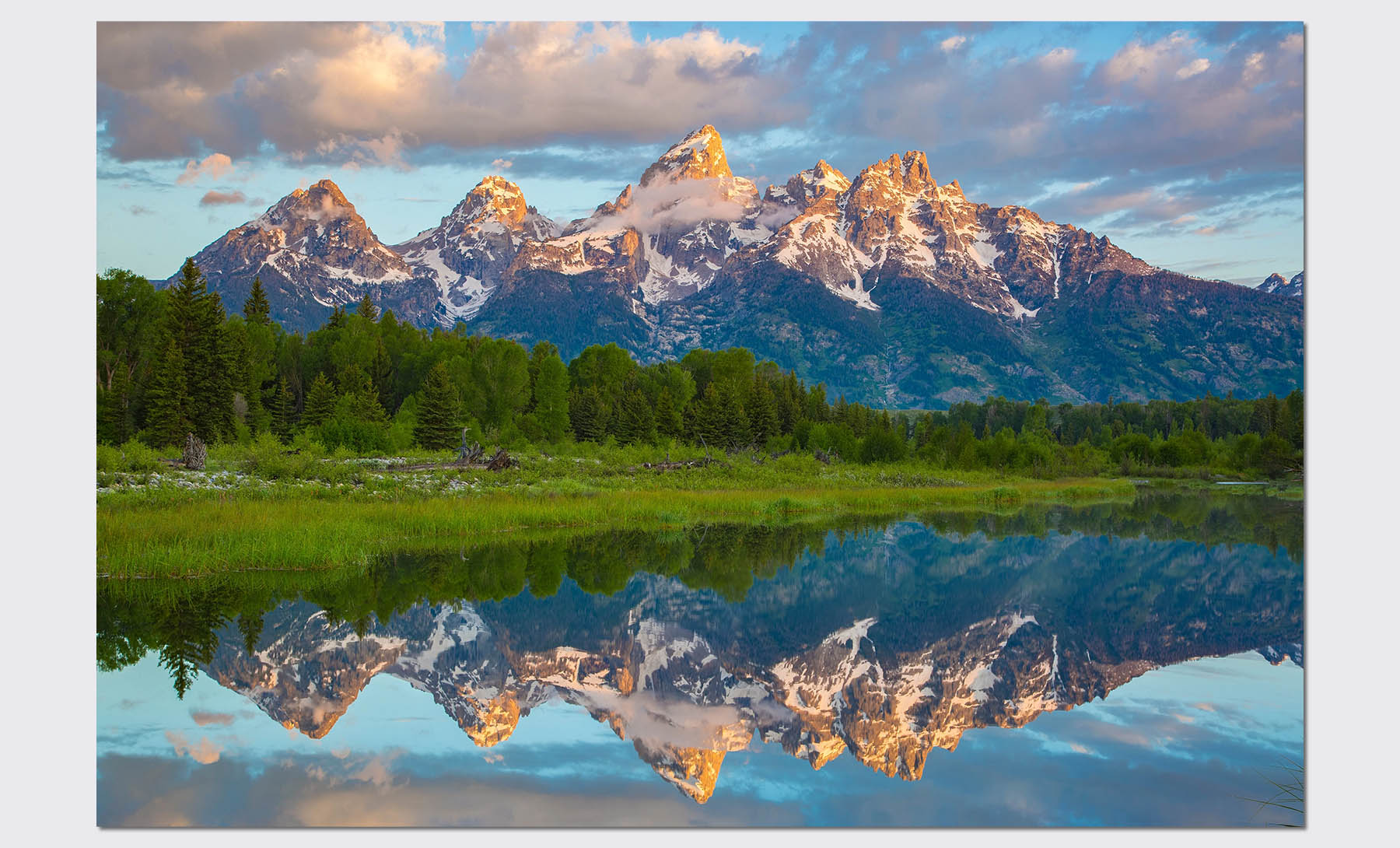 art gallery jackson hole